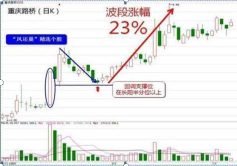 新奥门特免费资料大全火凤凰,全面设计执行策略_Prime71.214