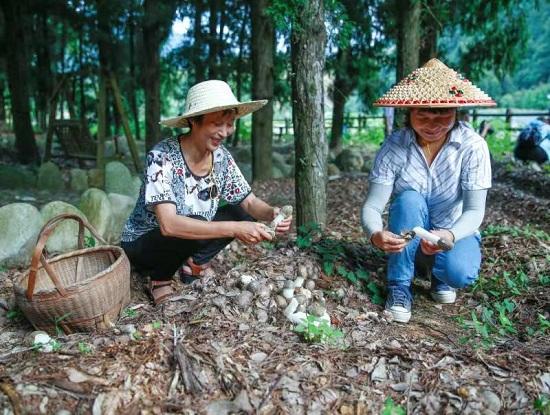 仙女镇领导团队引领未来，铸就辉煌新篇章