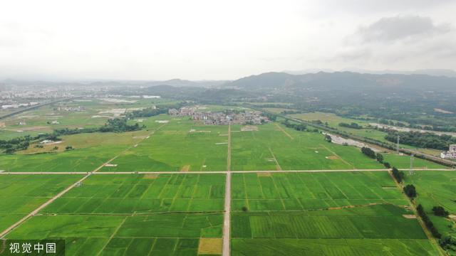 芒种桥乡交通新篇章，迈向现代化交通发展之路